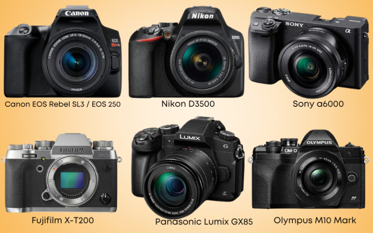 6 best cameras for beginners in 2024