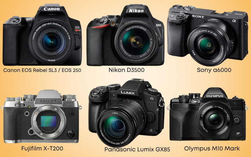 Read more about the article 6 best cameras for beginners in 2024